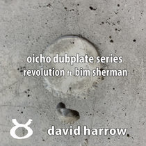 Revolution ft. Bim Sherman cover art