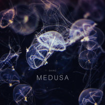 Medusa cover art