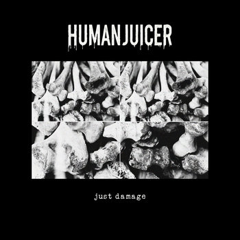 Cover of Just Damage