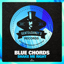 Blue Chords - Shake Me Right cover art