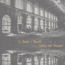 Falling into Disrepair cover art