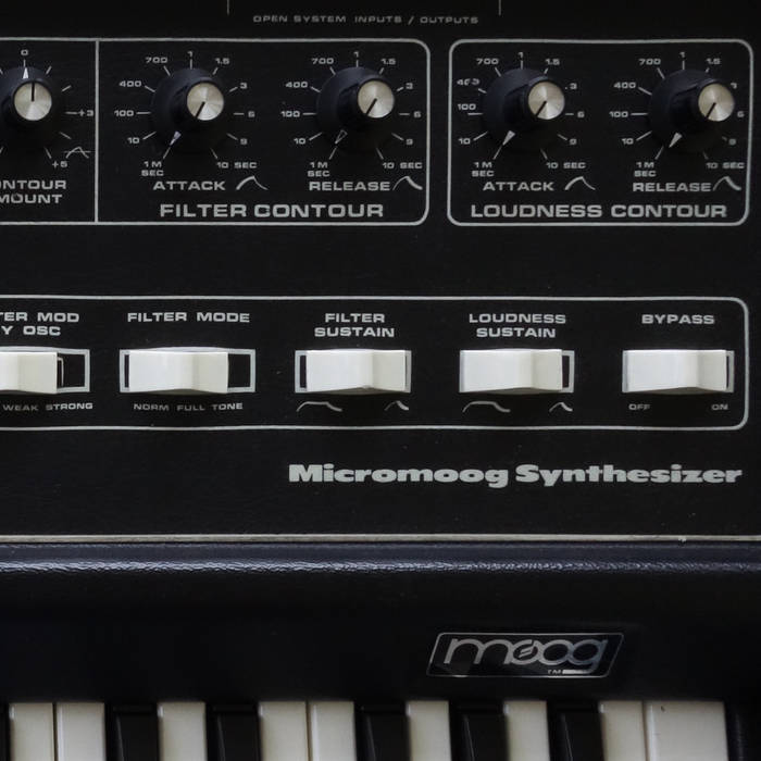 Micromoog synthesizer 2024