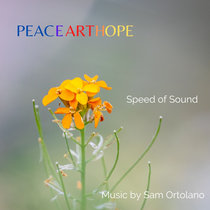 Speed Of Sound cover art