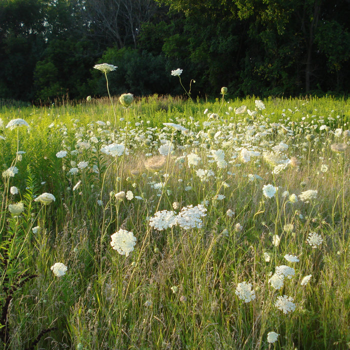 Allan Johnston & Chicago Phonography Performance at the Evanston Art