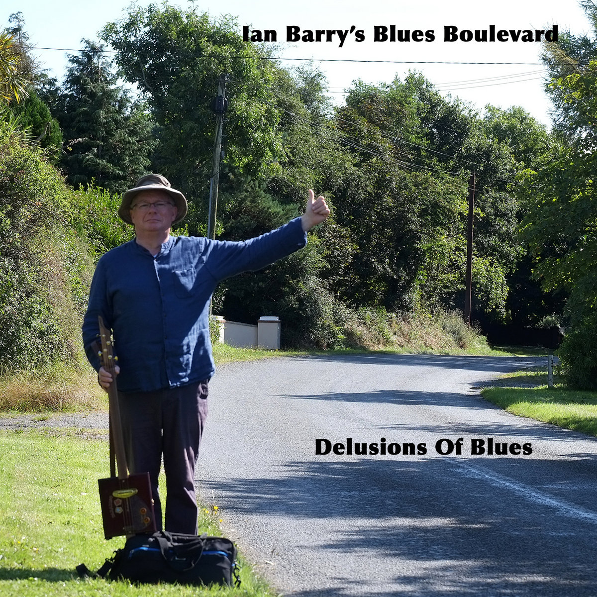 Delusions of Blues cover