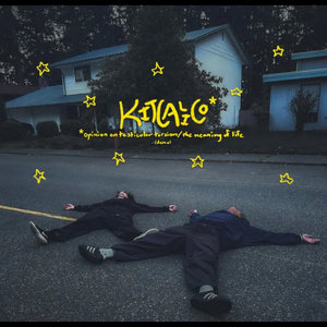 opinion on testicular torsion/the meaning of life (garage demo) cover