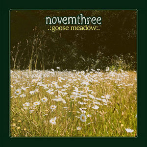 novemthree — Goose Meadow