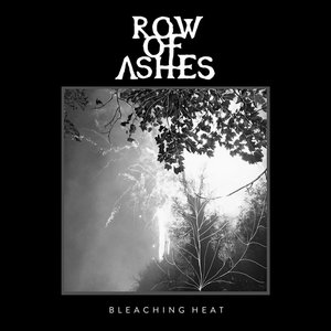 Bleaching Heat cover