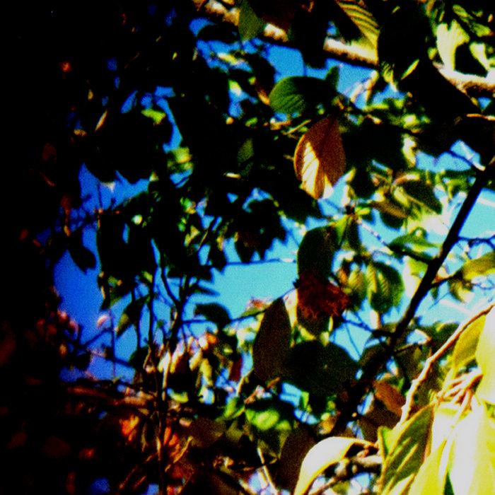 Verdant Acre Volume Four Coppice Halifax
