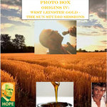 Origins IV: West Leinster Gold - The Sun Studio Sessions cover