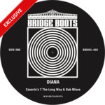 Caserta / BridgeBoots - Diana (Caserta's 7 The Long Way Mix)