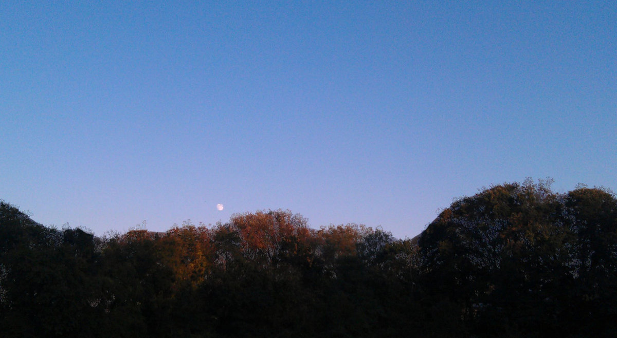 Apr 2, 2024 Lafayette, LA Heymann Performing Arts Center Nettie Moore