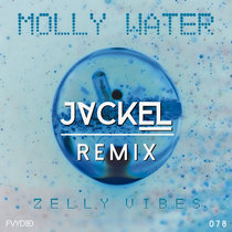 Molly Water (JackEL Remix) cover art