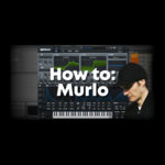 How to: Murlo (FREE Project and Serum Presets)