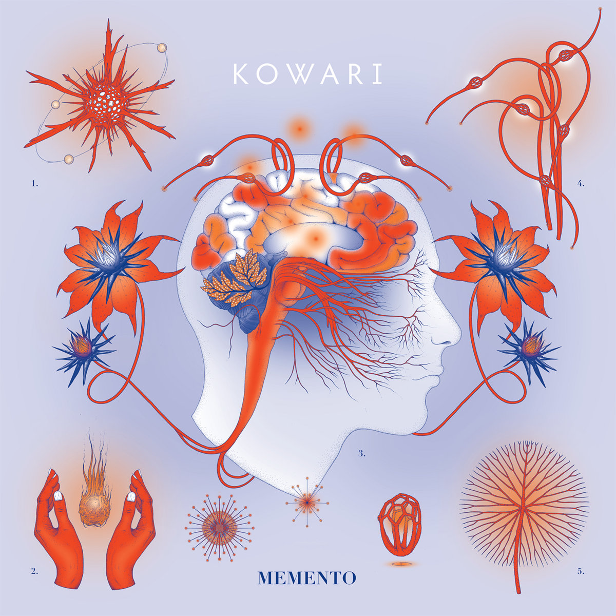 Memento | Kowari | KOWARI