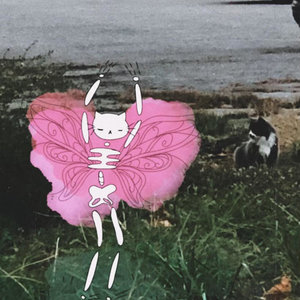 cicadahead — skeletons