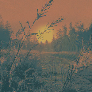 parallel vision: a turnover cover compilation cover