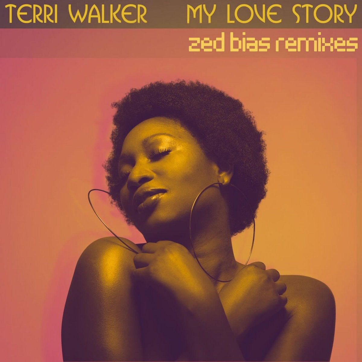 MY LOVE STORY - (ZED BIAS REMIXES) | TERRI WALKER | Terri Walker