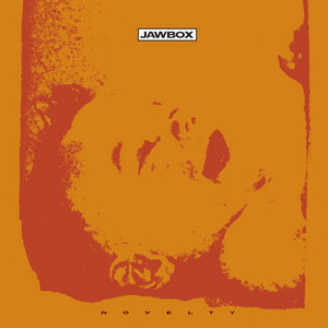 Novelty cover