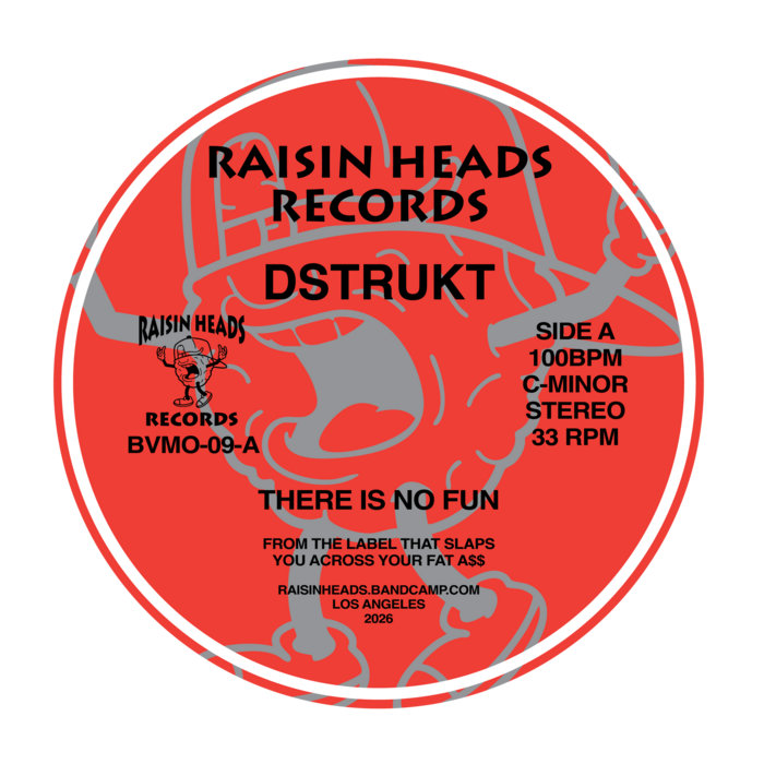Pochette de There is No Fun par DSTRUKT