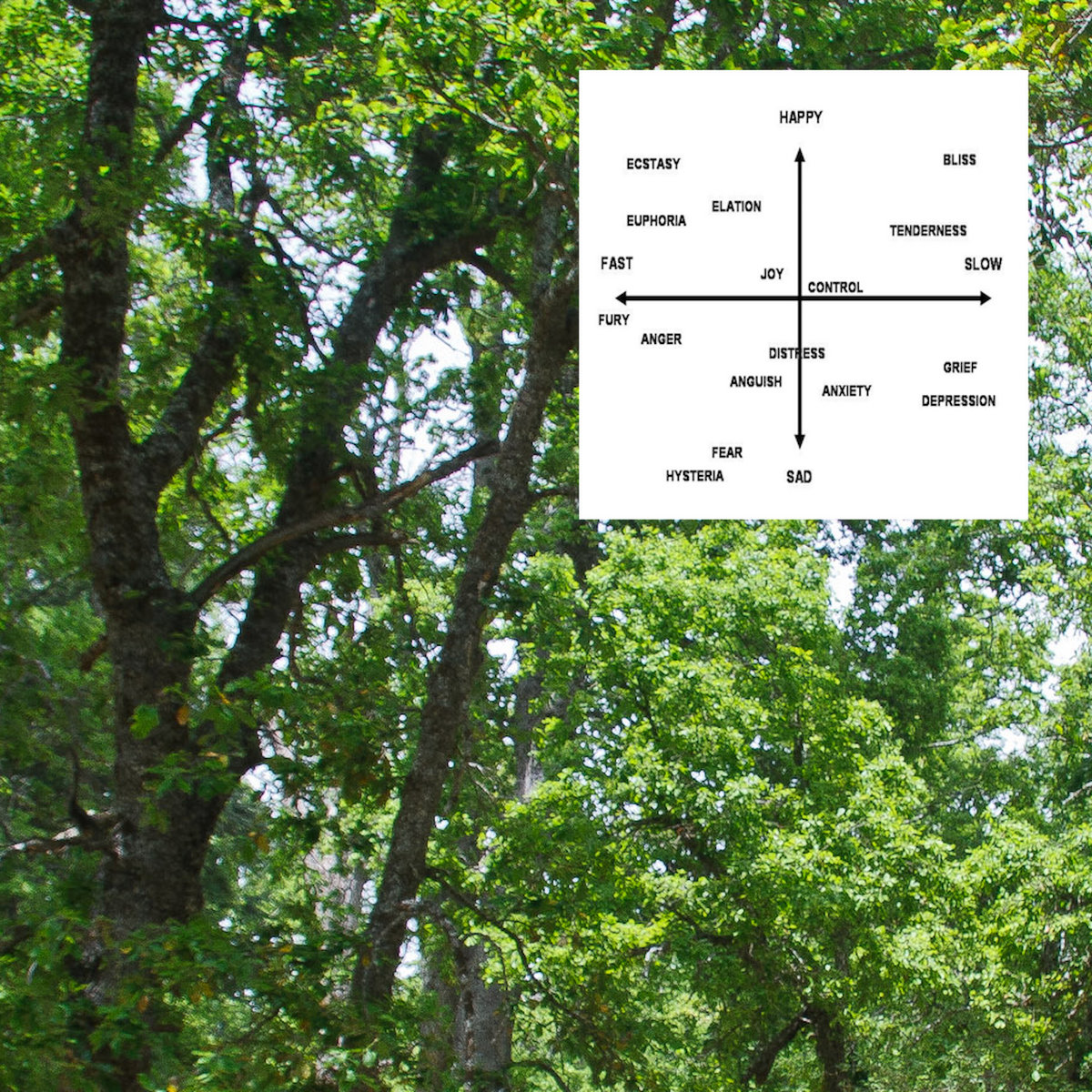 trees