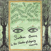 In the Shades of Sleeping Leaves