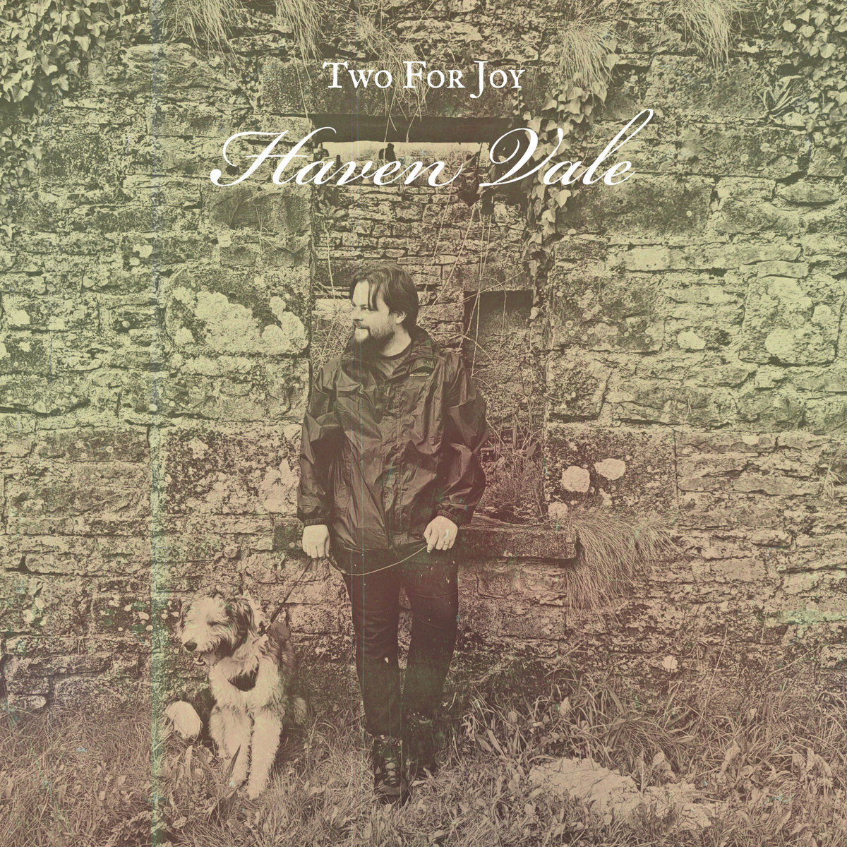 Haven Vale cover