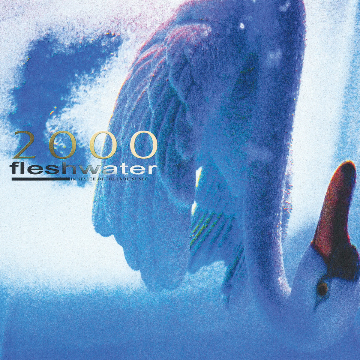Sundown Fleshwater
