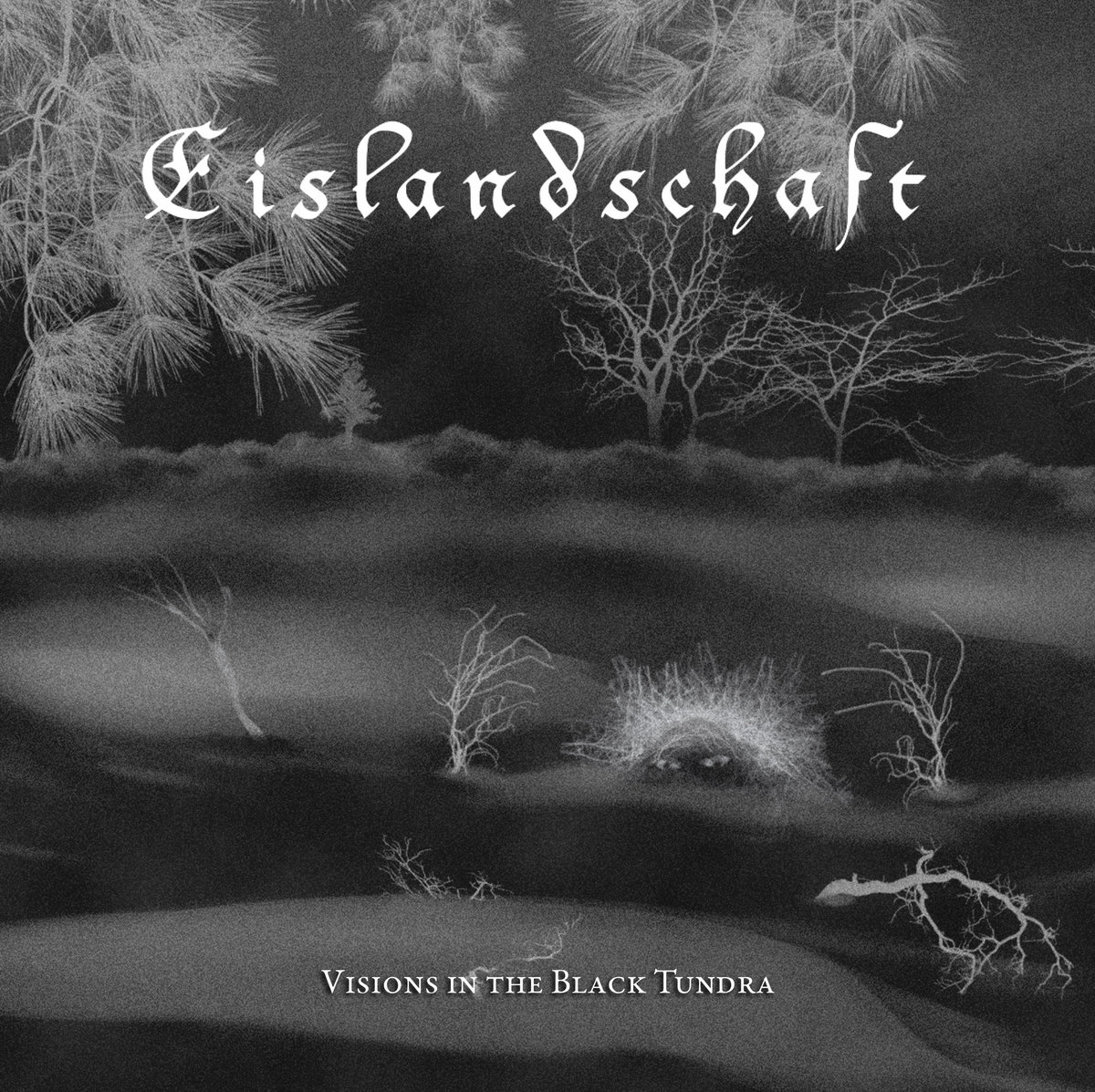 Eislandschaft - Visions in the Black Tundra