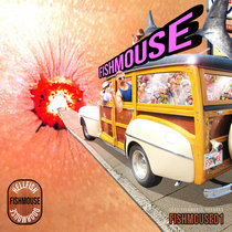 FISHMOUSE 01 cover art
