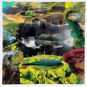 Fishbone cover