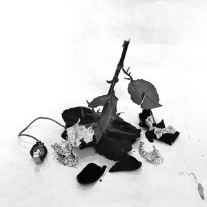 Under The Chairs cover