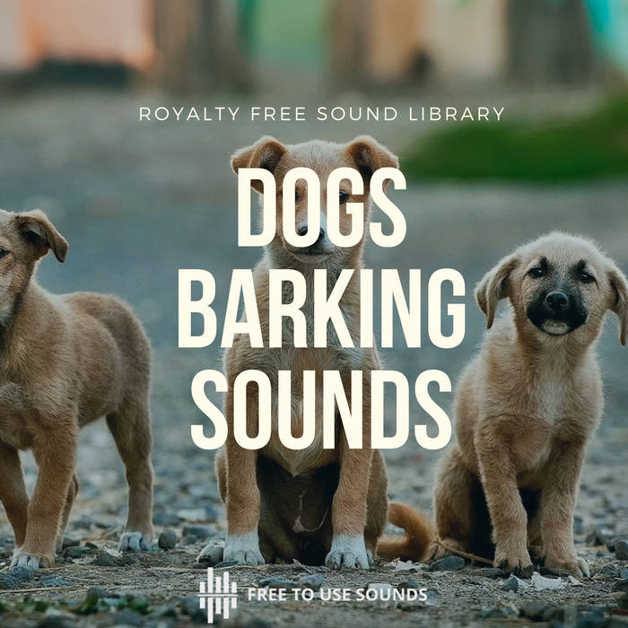 Stop Barking Best Music To Soothe Dogs Music For Separation