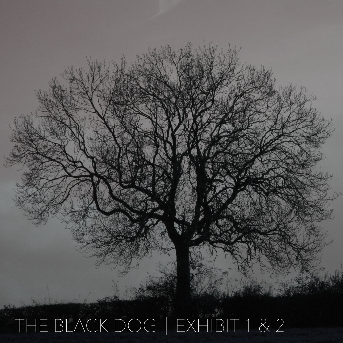 Exhibit 1 & 2 | The Black Dog