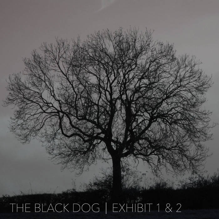 The Black Dog テクノ名盤セット (レコードx2) Exhibit 1 & 2 | The Black Dog
