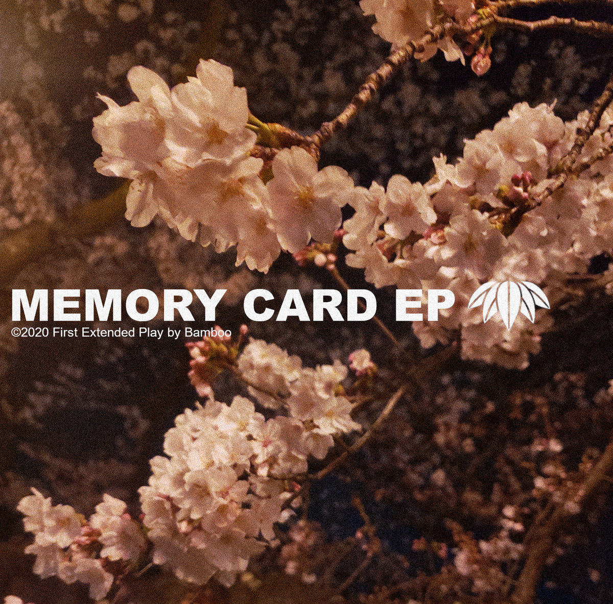 MEMORY CARD EP Bamboo