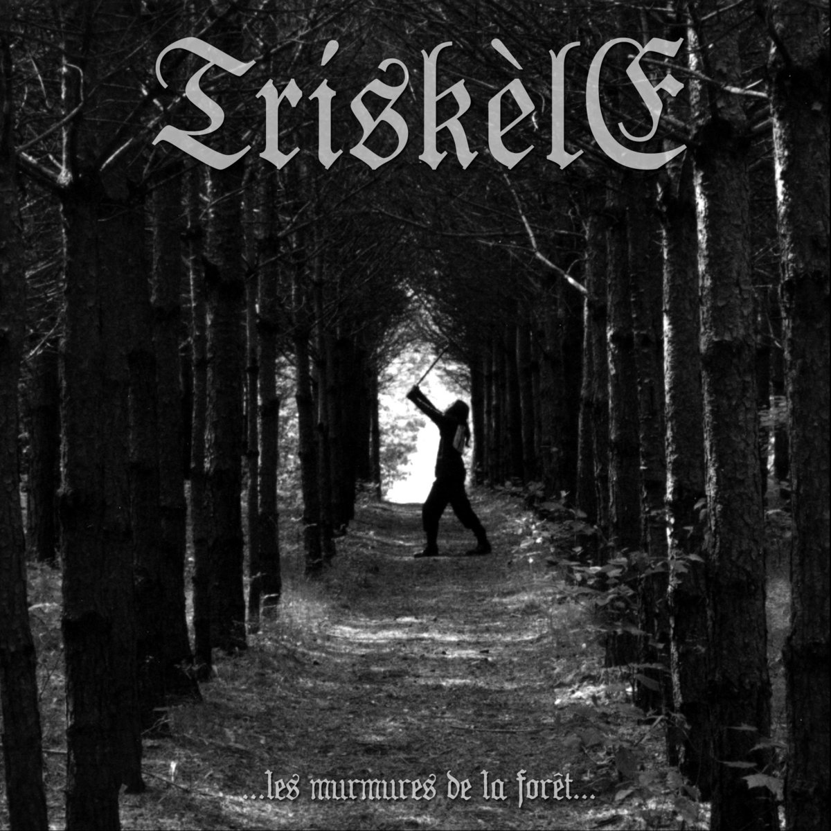Dans Le Murmure De La Forêt Perdue ...les murmures de la forêt... | Triskèle