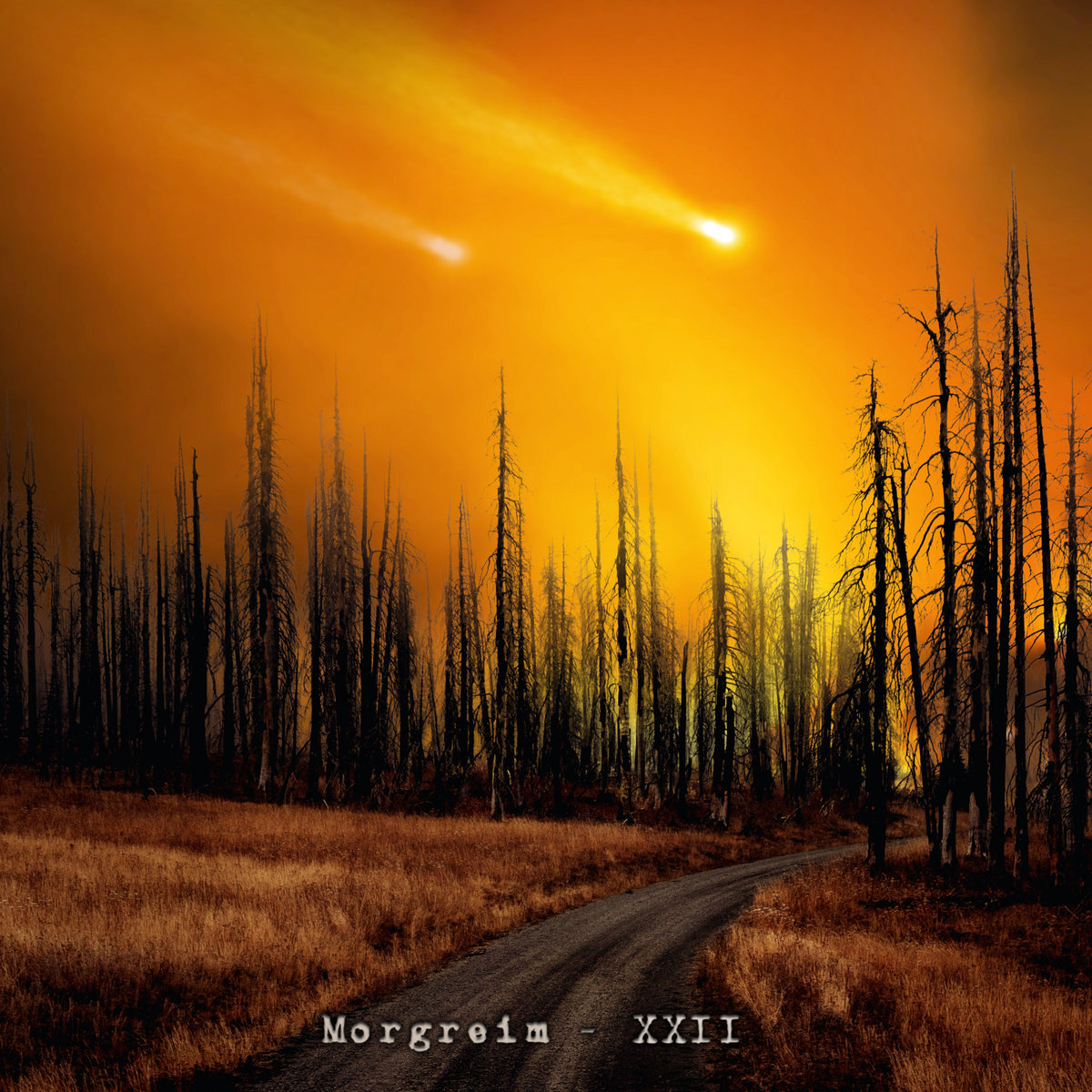 XXII | Morgreim