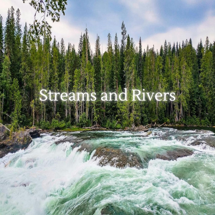 Streams and Rivers The Immersive Forest Streams and Rivers The Immersive Forest