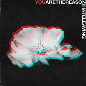 You Are The Reason I Hate Leaving cover