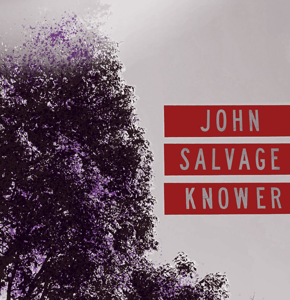 Knower | John Salvage