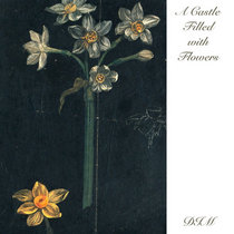A Castle Filled with Flowers cover art