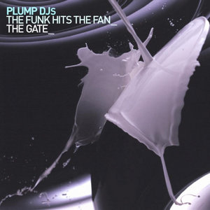 The Funk Hits The Fan / The Gate cover
