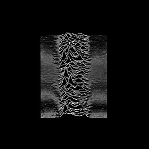 Arctic Flowers — Wilderness (Joy Division cover)