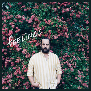 Feelings cover