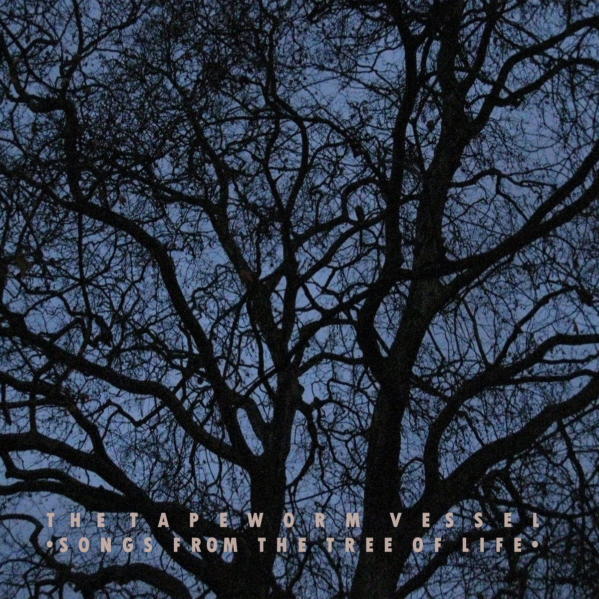 Songs From The Tree Of Life * Oxherding | THE TAPEWORM VESSEL