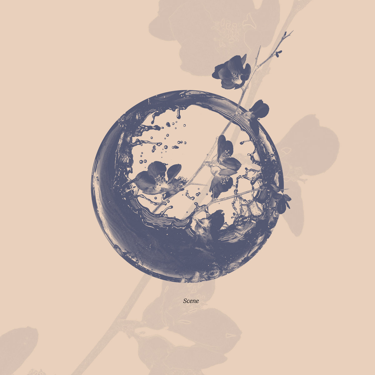 Scene ソエジマトシキ＆Nahokimama a1180349594_10.jpg