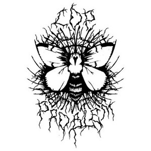 2011 Demo cover