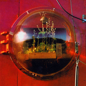 Home of the FuturePrimitive Motion cover