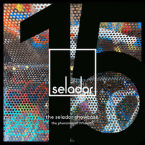 Jamie Stevens, Darksidevinyl, Martin HERRS, Stiven Rivic, blaktone — The Selador Showcase - The Phenomenal Fifteenth incl. Jamie Stevens, Darksidevinyl, Sam Hopgood, Martin HERRS, Michael & Levan, Stiven Rivic, blaktone